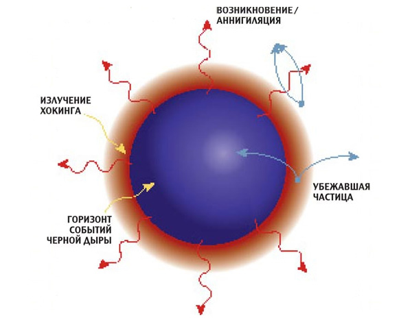 Излучение Хокинга. В 1974 году Стивен Хокинг, используя квантовый подход, предсказал, что черные дыры не такие уж и черные: они должны испускать тепловое излучение чернотельного типа, возникающее в окрестности горизонта из-за взаимодействий вакуумных флуктуаций с гравитационным полем. Спектр этого излучения зависит от температуры и поэтому реагирует на любое попадание вещества из окружающего пространства. Внешний наблюдатель может заметить изменение спектра и таким образом зарегистрировать увеличение температуры дыры и, следовательно, рост ее энтропии. Из-за излучения Хокинга черные дыры теряют массу («испаряются») и в конце концов погибают, но время жизни дыр астрономических масштабов на десятки порядков больше нынешнего возраста Вселенной.