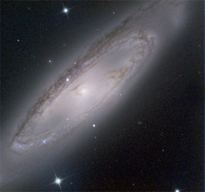 Изображение: www.sciam.ru