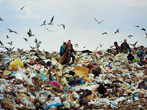 Мигранты во время работы (Тула)