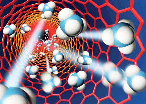 Изображение: «Экология и жизнь»