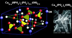 Рис. 4. Гидроксилапатит (изображение: «Химия и жизнь»)