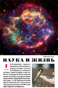 «Наука и жизнь» №1, 2009
