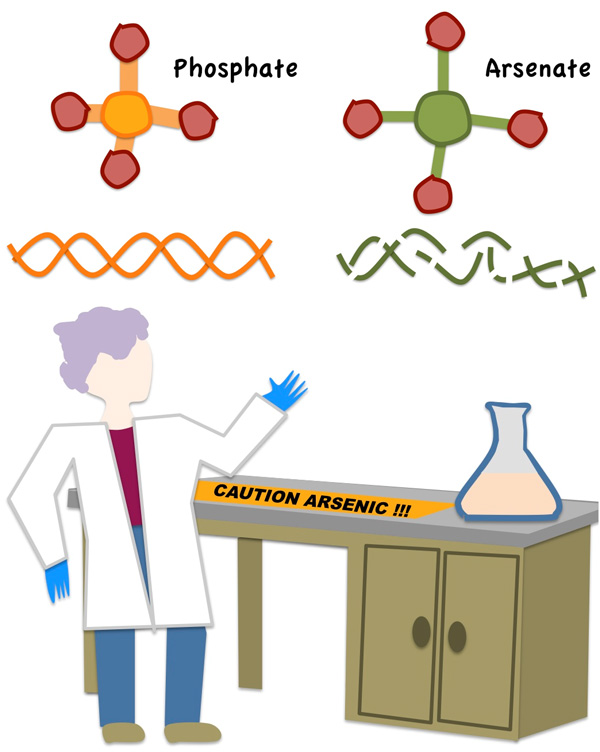 Слайд, который Розмэри Редфилд приготовила для выступления на Science Foo Camp (август 2011) — серьезном, но в то же время и веселом междисциплинарном мероприятии. Изображение с сайта rrresearch.fieldofscience.com