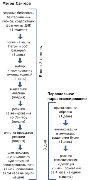 Сравнение секвенирования по Сэнгеру и параллельного пиросеквенирования по Маргулису—Эгхольму—Ротбергу. Впрочем, на этой впечатляющей схеме не отражены недостатки нового метода...