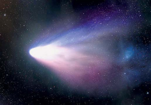 Изображение: «Наука и жизнь»