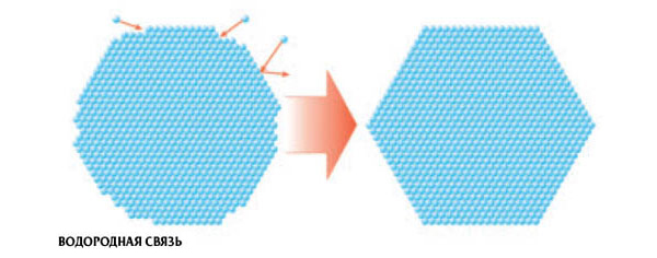 Образование граней. Свободные водородные связи в гексагональной кристаллической решетке льда ориентируются таким образом, что новые молекулы водяного пара стремятся заполнять пустоты в гранях растущего кристалла. Изображение: «Популярная механика»