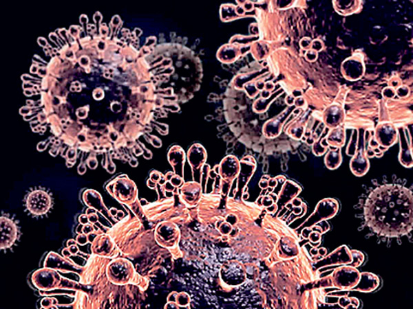 Вирус гриппа H5N1 под микроскопом. Этот тип болезни так и не был зарегистрирован в США, однако грипп других видов постоянно разносят по стране водоплавающие птицы