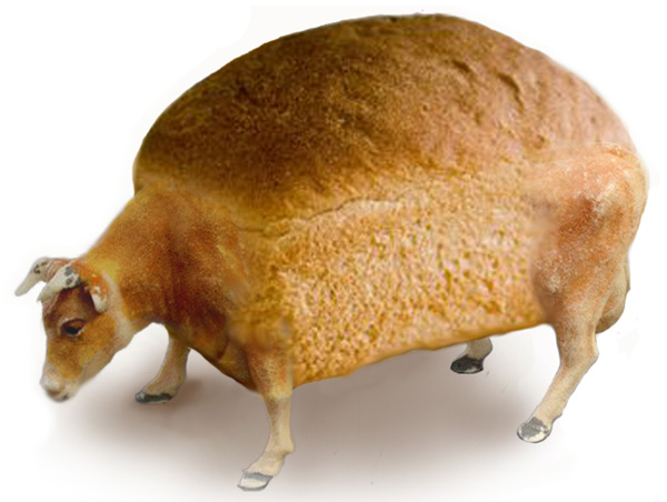 Рис. 1. Картинка с сайта «Take the floor back!». Согласно словарю Фасмера, каравай, или коровай, происходит от «коровы» — возможно, ритуальный хлеб преподносили гостям или богам, когда не могли подать мяса. Но продовольственные проблемы не убеждают «зеленых»: пшеница с геном, «похожим на коровий», для них остается злом