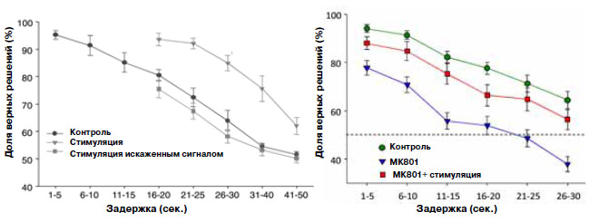 Если транслировать в зону СА1 гиппокампа крысы «сильный» сигнал, соответствующий хорошему запоминанию, то число правильных ответов (когда крыса выбирает рычаг с противоположной стороны) резко вырастает. Более того, такая стимуляция корректирует нарушения памяти, вызванные блокатором глутаматного рецептора МК801. Изображение: «Химия и жизнь»
