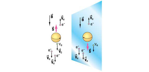 Мысленный опыт Ли и Янга, экспериментально проверенный группой исследователей под руководством китаянки Ву Цзиньсян из лаборатории Колумбийского университета (США). Они наблюдали распад ядер изотопа кобальта 60Cо с превращением их в ядра изотопа никеля 60Ni, электроны и электронные нейтрино: 60Co → 60Ni + е- + νe. Кобальт подвергли глубокому охлаждению и поместили в сильное магнитное поле, которое ориентировало его ядра в одном направлении. Выяснилось, что в направлении спина S вылетает электронов меньше, чем в противоположном. Если теперь мысленно отразить процесс распада в зеркале (произвести инверсию координат), окажется, что вектор спина в «зазеркалье» поменяет направление на противоположное, а вектор скорости останется прежним. Теперь больше электронов вылетает в направлении спина — смена знаков координат привела к изменению явления распада. А это и есть несохранение четности. Изображение: «Наука и жизнь»