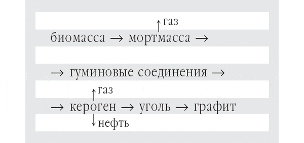 Изображение: «Природа»