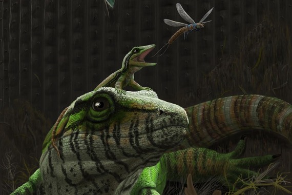 Дендромайя с детенышем