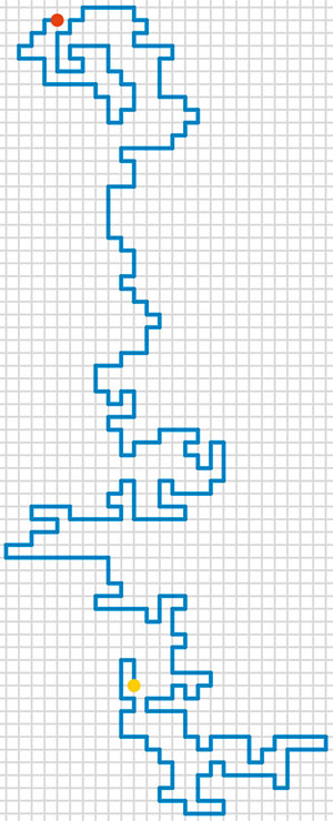 Самоизбегающее блуждание