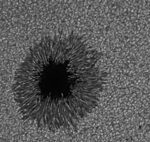 Характерное солнечное пятно выглядит темнее, чем окружающая его поверхность Солнца, потому что вещество там холоднее. Изображение: Институт космических исследований Стэнфордского университета и корпорации Локхид и обсерватория Big Bear