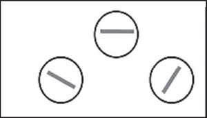 Рис. 17. Миниколонки, реагирующие на линии определенной ориентации