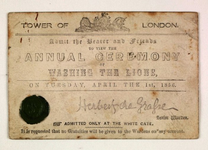 Приглашение на купание львов