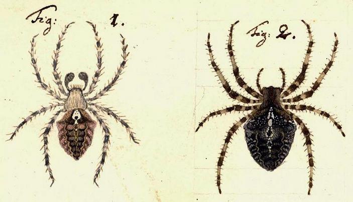 Оригинальные рисунки Карла Клерка