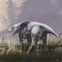 Мегавайтсия охотится