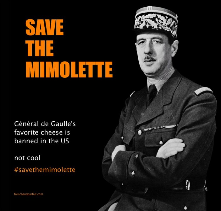 Постер за отмену запрета на сыр мимолет