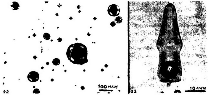 Включения во флюорите