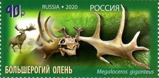 Марка с большерогим оленем