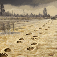 Следы сухонопуса