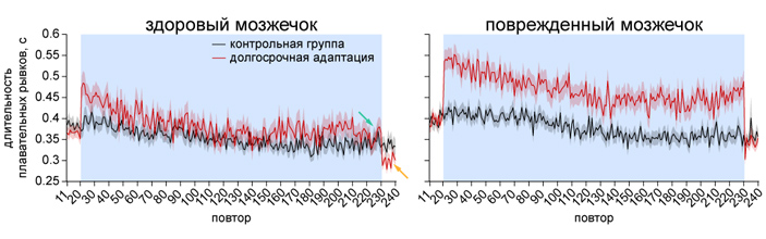 Рис. 6. Результаты эксперимента с долгосрочной адаптацией