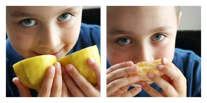 Лимоны, пожалуй, обладают самым характерным запахом среди всех цитрусовых