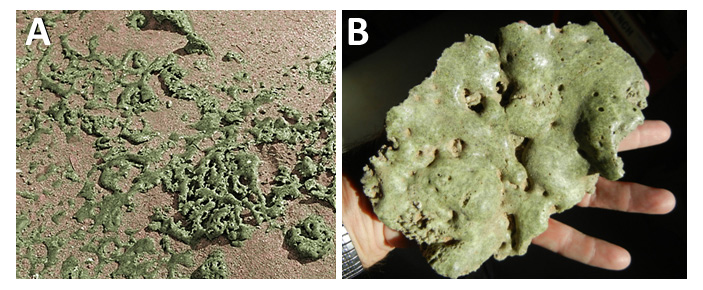 Рис. 1. Тринитит