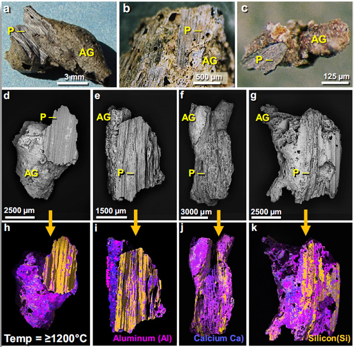Рис. 3. Растительные отпечатки на поверхности стекла