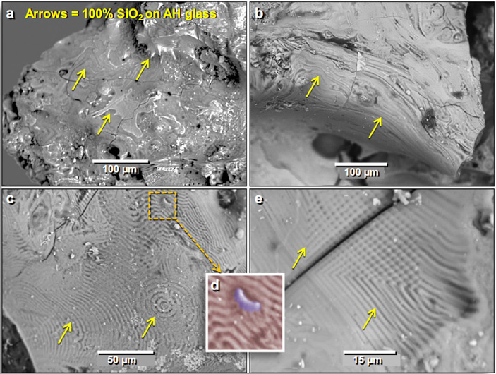 Рис. 4. Снимки лешательерита