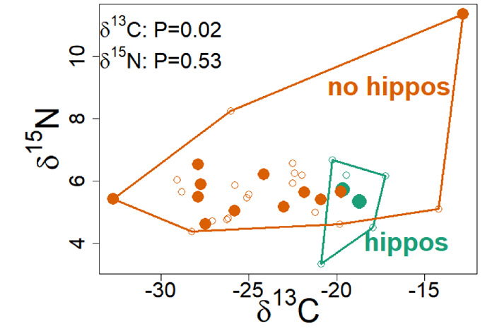 Рис. 2. Соотношение стабильных изотопов углерода и азота