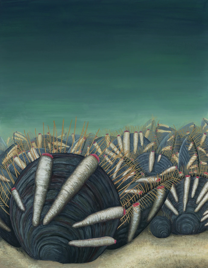 Рис. 6. Реконструкция бентосного сообщества раннекембрийского «гуаньшаньского» моря