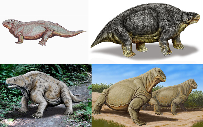 Рис. 3. Некоторые из родов с сильно отличным от среднего по мощности и высоте строением челюсти