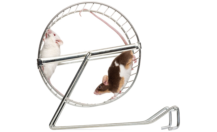 Регулярные занятия физкультурой улучшают память и сообразительность