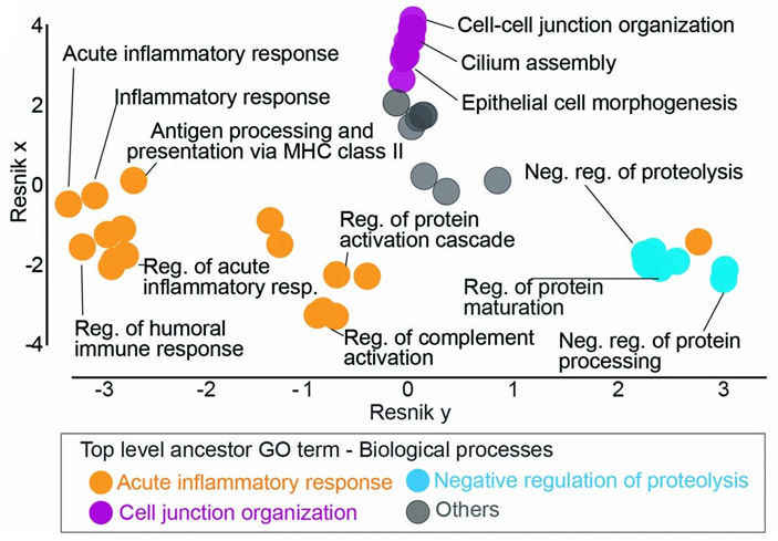 Функциональное назначение генов