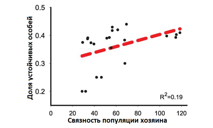 Рис. 4. В популяциях подорожника, окруженных другими популяциями, растения были в целом более устойчивы к экспериментальному заражению P. plantaginis