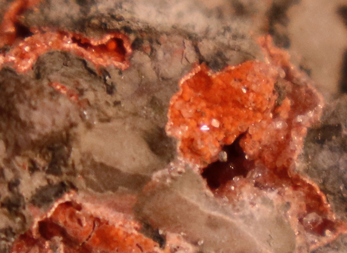 Рис. 3. Низкотемпературные гидротермальные минералы анальцим и дакиардит