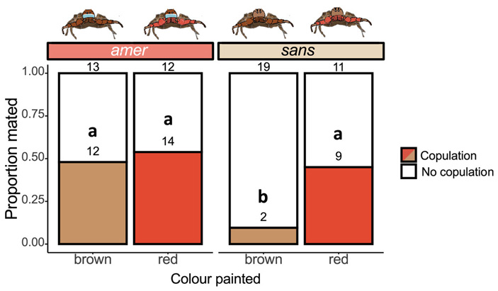 Рис. 5. Доля успешных спариваний для самцов, подвергшихся манипуляциям с цветом