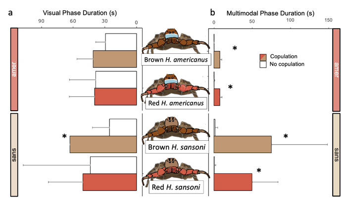 Рис. 6. Средняя продолжительность визуальной и мультимодальной фаз в эксперименте с перекрашиванием