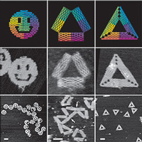 <p><b>Рис. 1.</b> Обложка последнего номера журнала <i>Science</i> с многочисленными трехмерными наноструктурами, которые можно получить с помощью новой методики.</p>