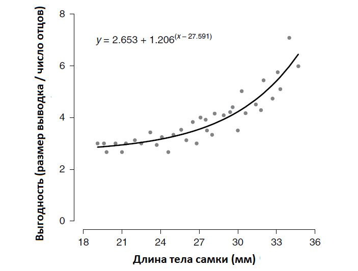 Рис. 2. Ценность самки с точки зрения эволюционных интересов самца