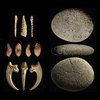 Артефакты возрастом около 55 тысяч лет, найденные в пещере Мандрен