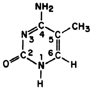 Структурная формула 5-метилцитозина