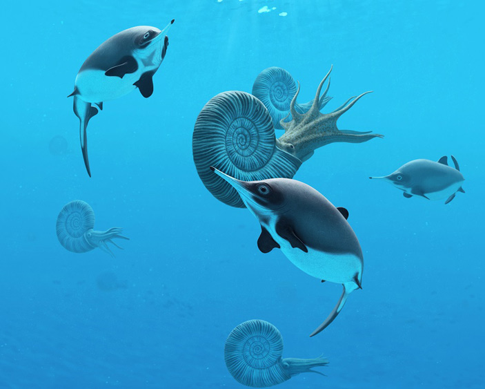 Нанноптеригии и аммониты титанитесы