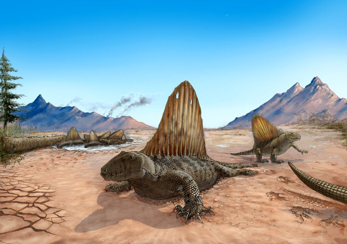 Диметродон