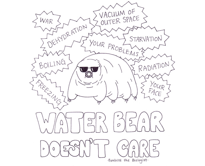 Рис. 2. Сетевой мем, прославляющий выносливость тихоходок