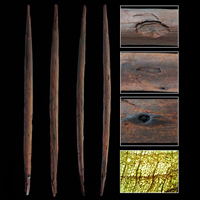 Метательная охотничья палка из Шёнингена