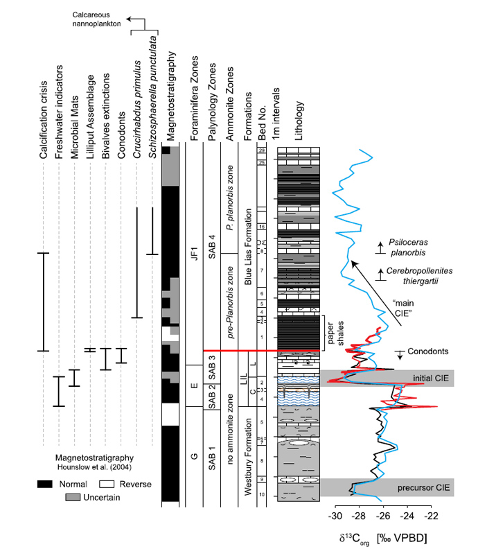 Рис. 3. Биологические, магнитостратиграфические, литологические и изотопно-геохимические индикаторы смены условий на границе 201,3 млн лет назад