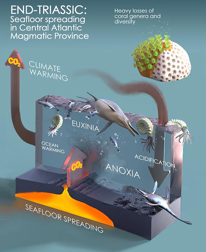 Рис. 5. Общая схема позднетриасового массового вымирания